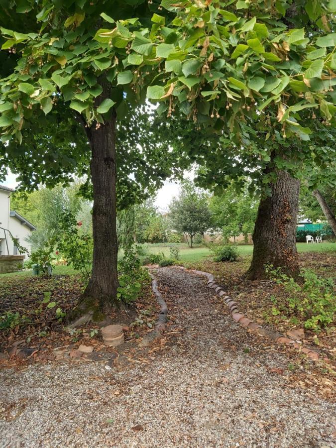 O Nature Cheris Mes Voeux Avant Qu'Ils S'Enfuient Francescas Exterior photo
